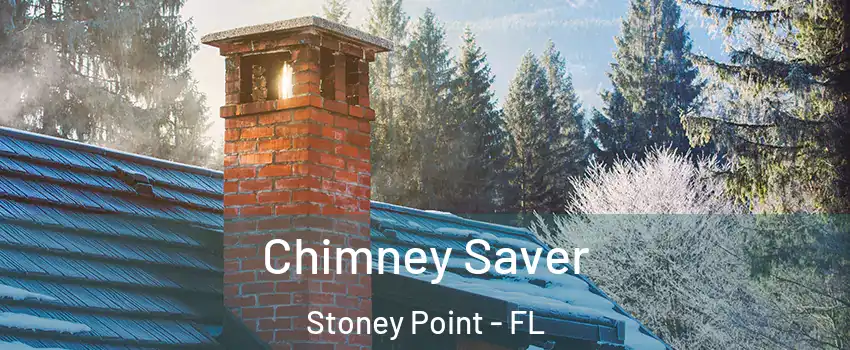 Chimney Saver Stoney Point - FL