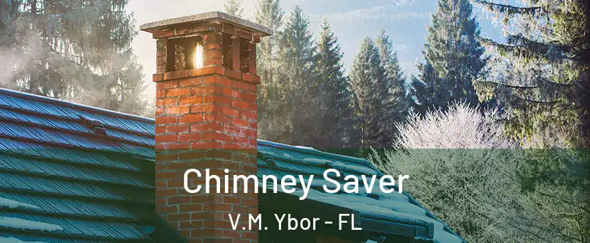 Chimney Saver V.M. Ybor - FL