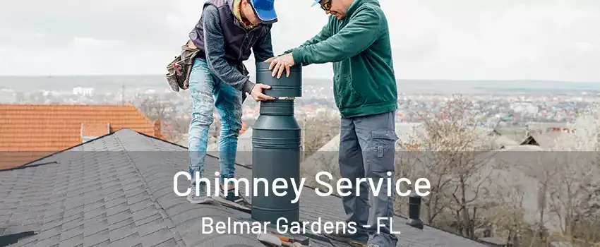Chimney Service Belmar Gardens - FL