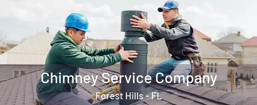 Chimney Service Company Forest Hills - FL
