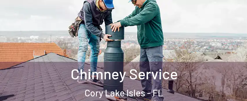 Chimney Service Cory Lake Isles - FL