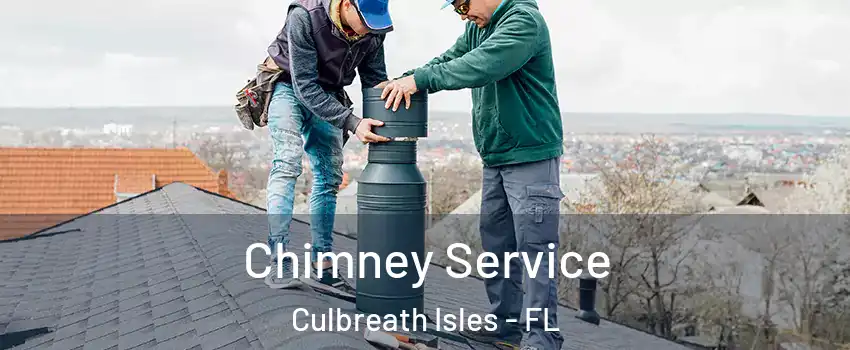 Chimney Service Culbreath Isles - FL