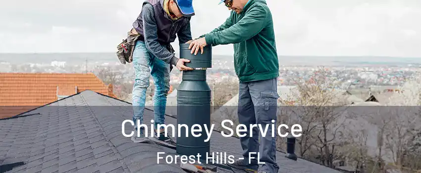 Chimney Service Forest Hills - FL