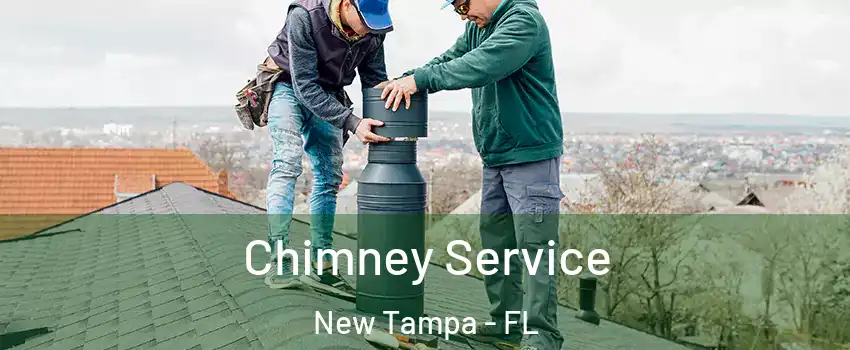 Chimney Service New Tampa - FL