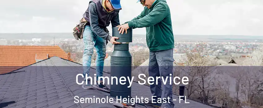 Chimney Service Seminole Heights East - FL