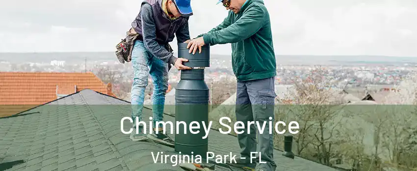 Chimney Service Virginia Park - FL