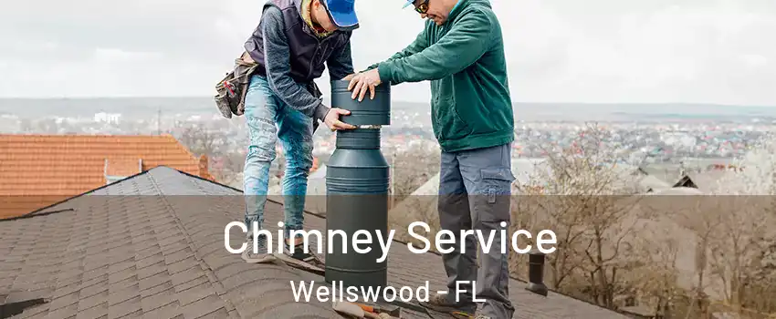 Chimney Service Wellswood - FL