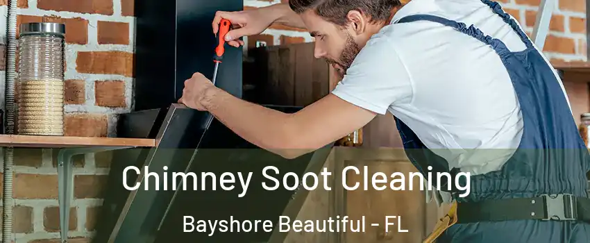 Chimney Soot Cleaning Bayshore Beautiful - FL
