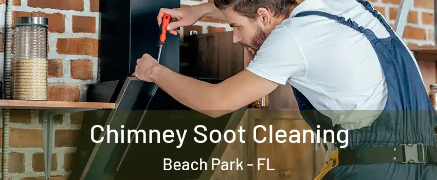 Chimney Soot Cleaning Beach Park - FL