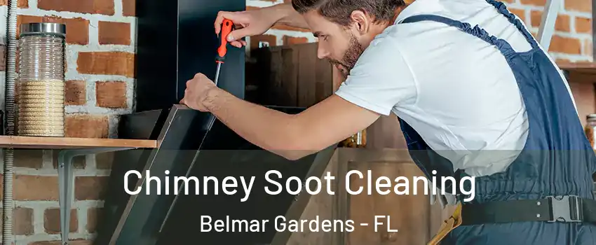 Chimney Soot Cleaning Belmar Gardens - FL