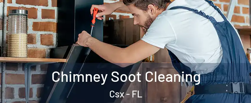 Chimney Soot Cleaning Csx - FL