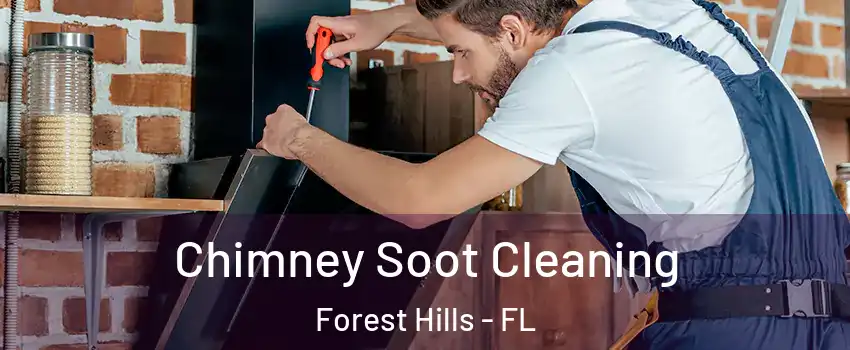 Chimney Soot Cleaning Forest Hills - FL