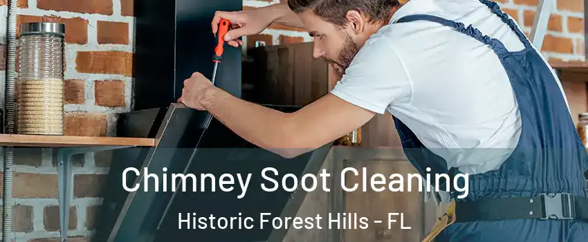 Chimney Soot Cleaning Historic Forest Hills - FL