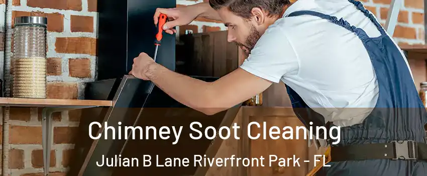 Chimney Soot Cleaning Julian B Lane Riverfront Park - FL