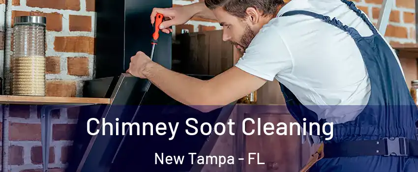 Chimney Soot Cleaning New Tampa - FL