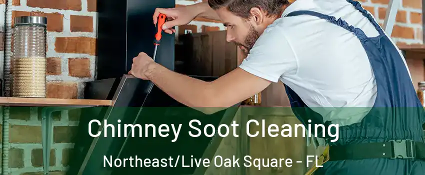 Chimney Soot Cleaning Northeast/Live Oak Square - FL