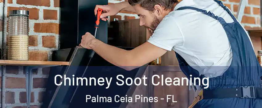 Chimney Soot Cleaning Palma Ceia Pines - FL