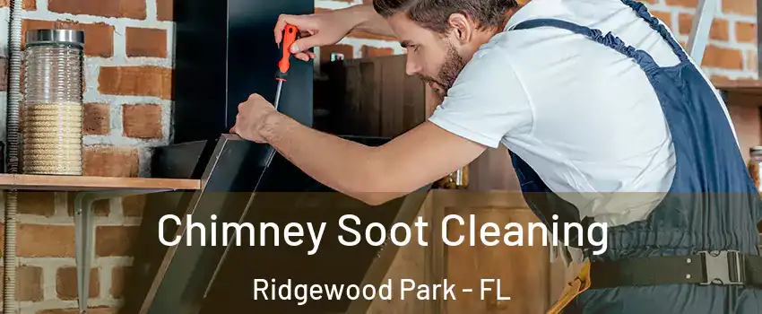 Chimney Soot Cleaning Ridgewood Park - FL