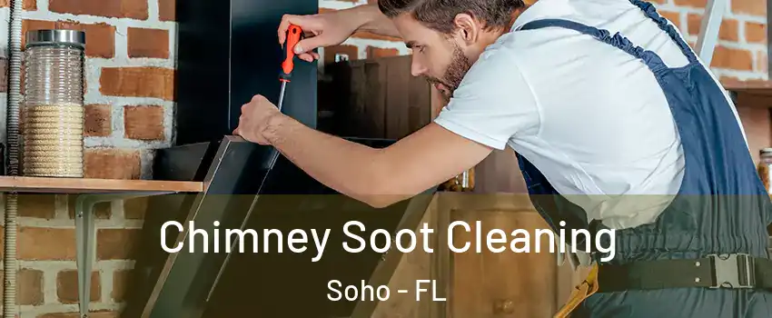 Chimney Soot Cleaning Soho - FL
