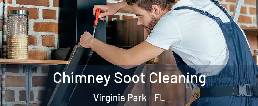 Chimney Soot Cleaning Virginia Park - FL