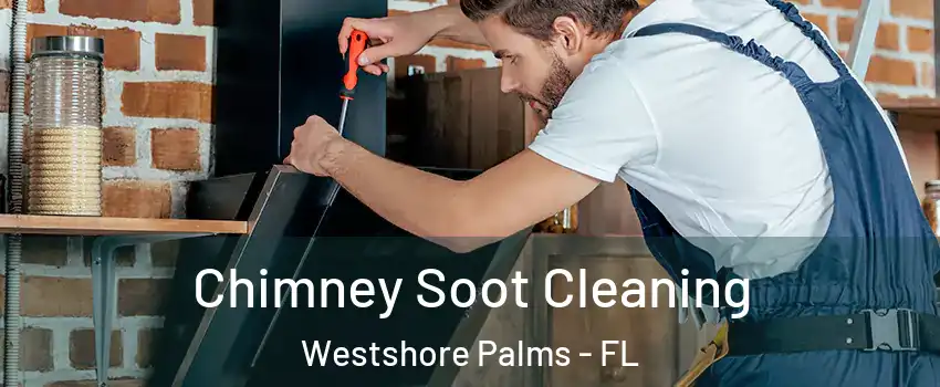 Chimney Soot Cleaning Westshore Palms - FL