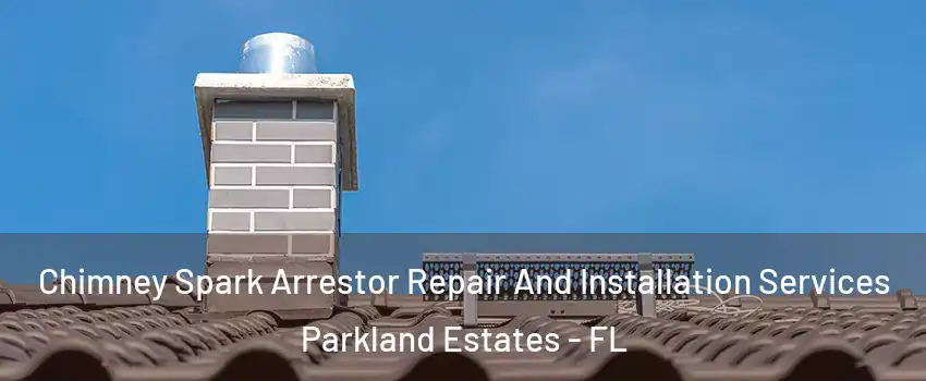 Chimney Spark Arrestor Repair And Installation Services Parkland Estates - FL