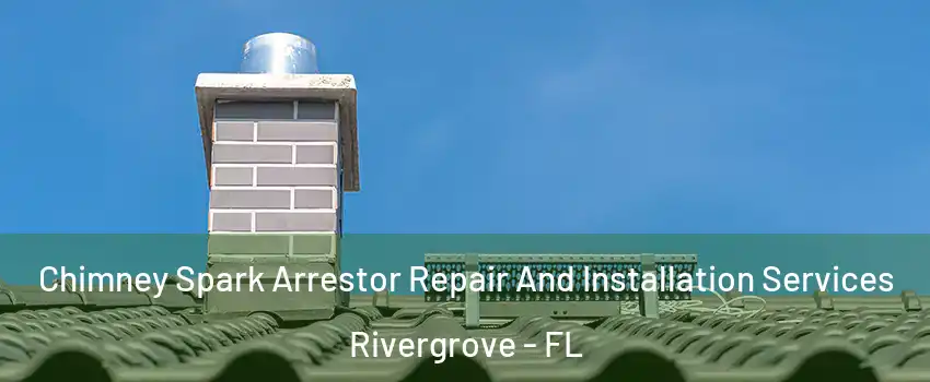 Chimney Spark Arrestor Repair And Installation Services Rivergrove - FL