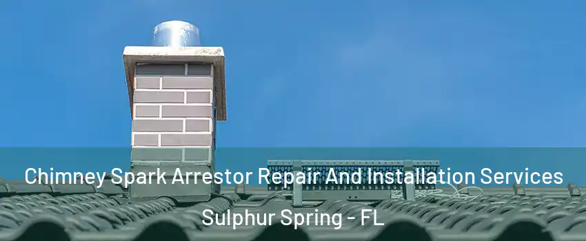 Chimney Spark Arrestor Repair And Installation Services Sulphur Spring - FL