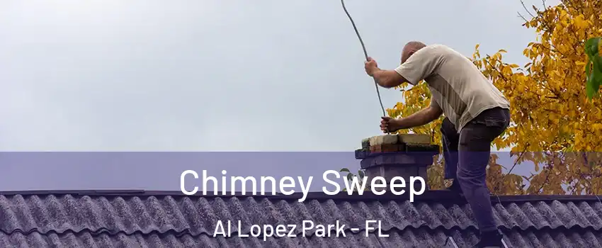 Chimney Sweep Al Lopez Park - FL