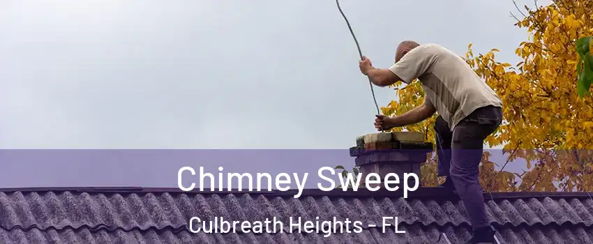 Chimney Sweep Culbreath Heights - FL