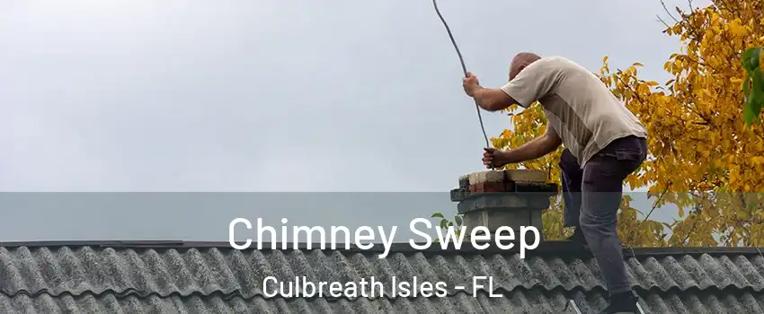 Chimney Sweep Culbreath Isles - FL