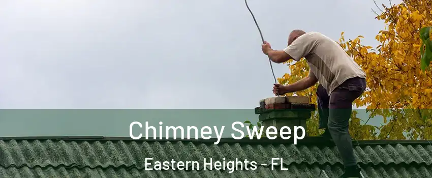 Chimney Sweep Eastern Heights - FL