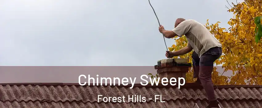 Chimney Sweep Forest Hills - FL