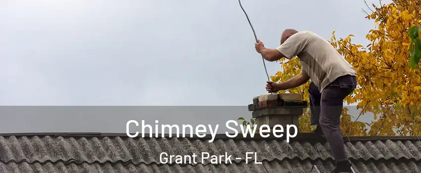 Chimney Sweep Grant Park - FL