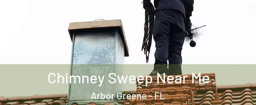 Chimney Sweep Near Me Arbor Greene - FL