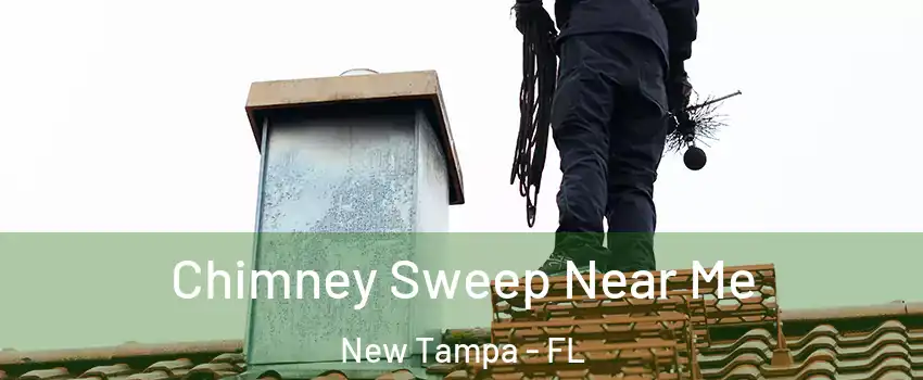 Chimney Sweep Near Me New Tampa - FL