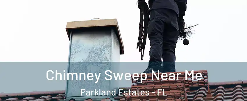 Chimney Sweep Near Me Parkland Estates - FL