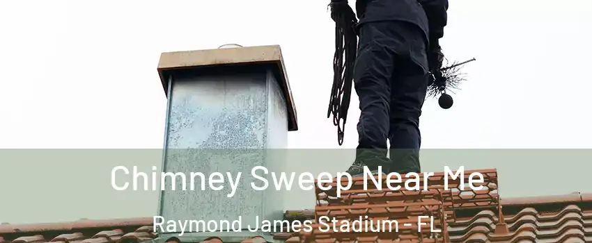 Chimney Sweep Near Me Raymond James Stadium - FL