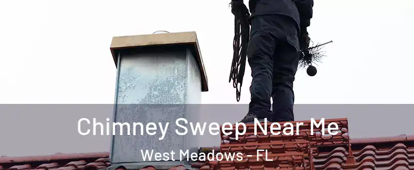 Chimney Sweep Near Me West Meadows - FL