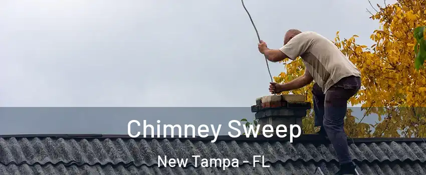 Chimney Sweep New Tampa - FL