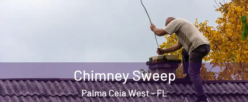 Chimney Sweep Palma Ceia West - FL