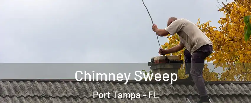 Chimney Sweep Port Tampa - FL
