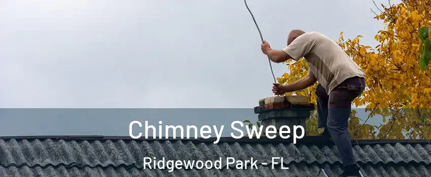 Chimney Sweep Ridgewood Park - FL