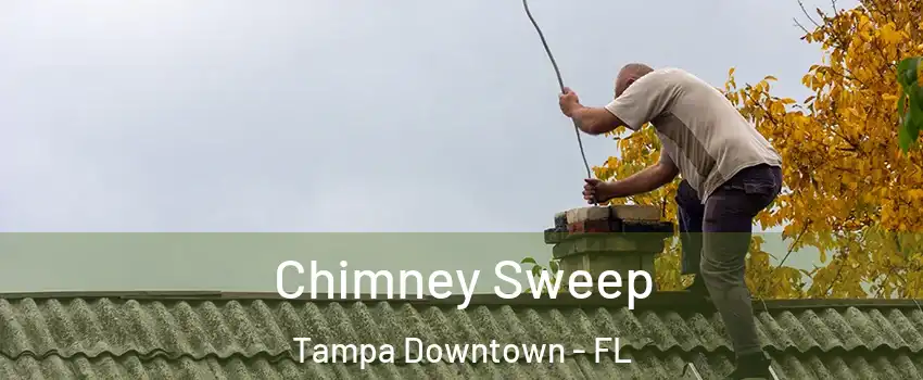 Chimney Sweep Tampa Downtown - FL