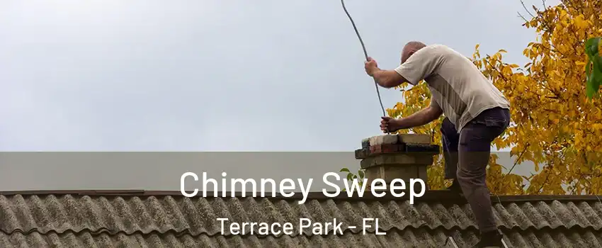 Chimney Sweep Terrace Park - FL