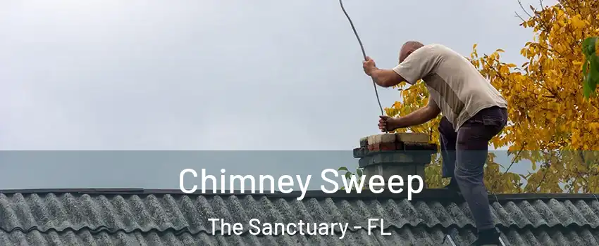 Chimney Sweep The Sanctuary - FL