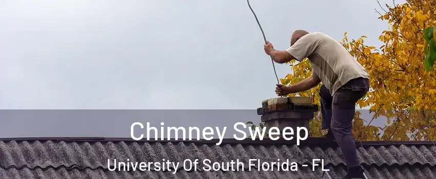 Chimney Sweep University Of South Florida - FL