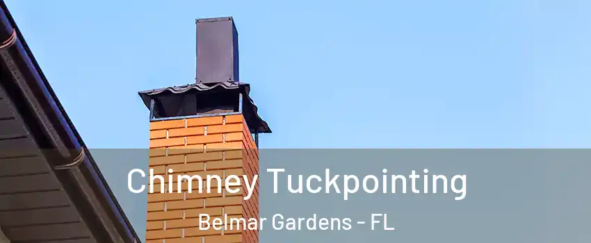 Chimney Tuckpointing Belmar Gardens - FL