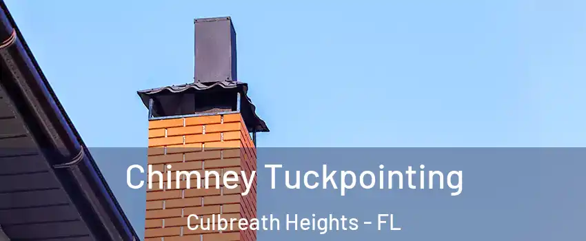 Chimney Tuckpointing Culbreath Heights - FL