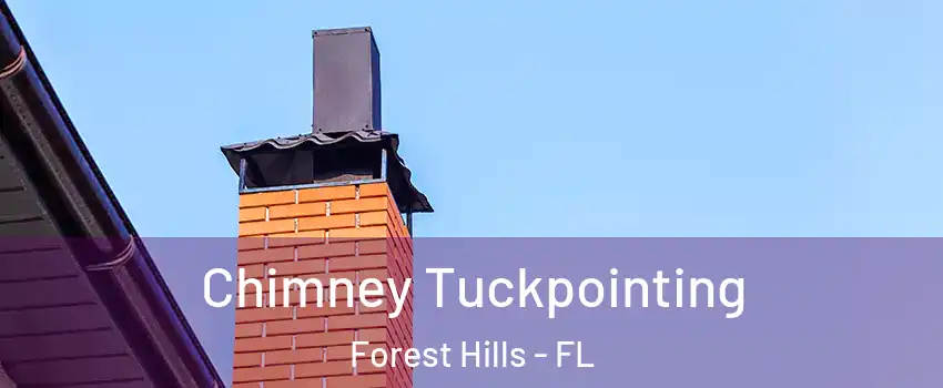 Chimney Tuckpointing Forest Hills - FL